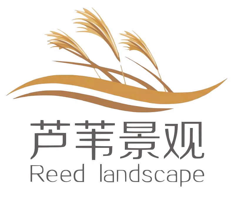 芦苇景观