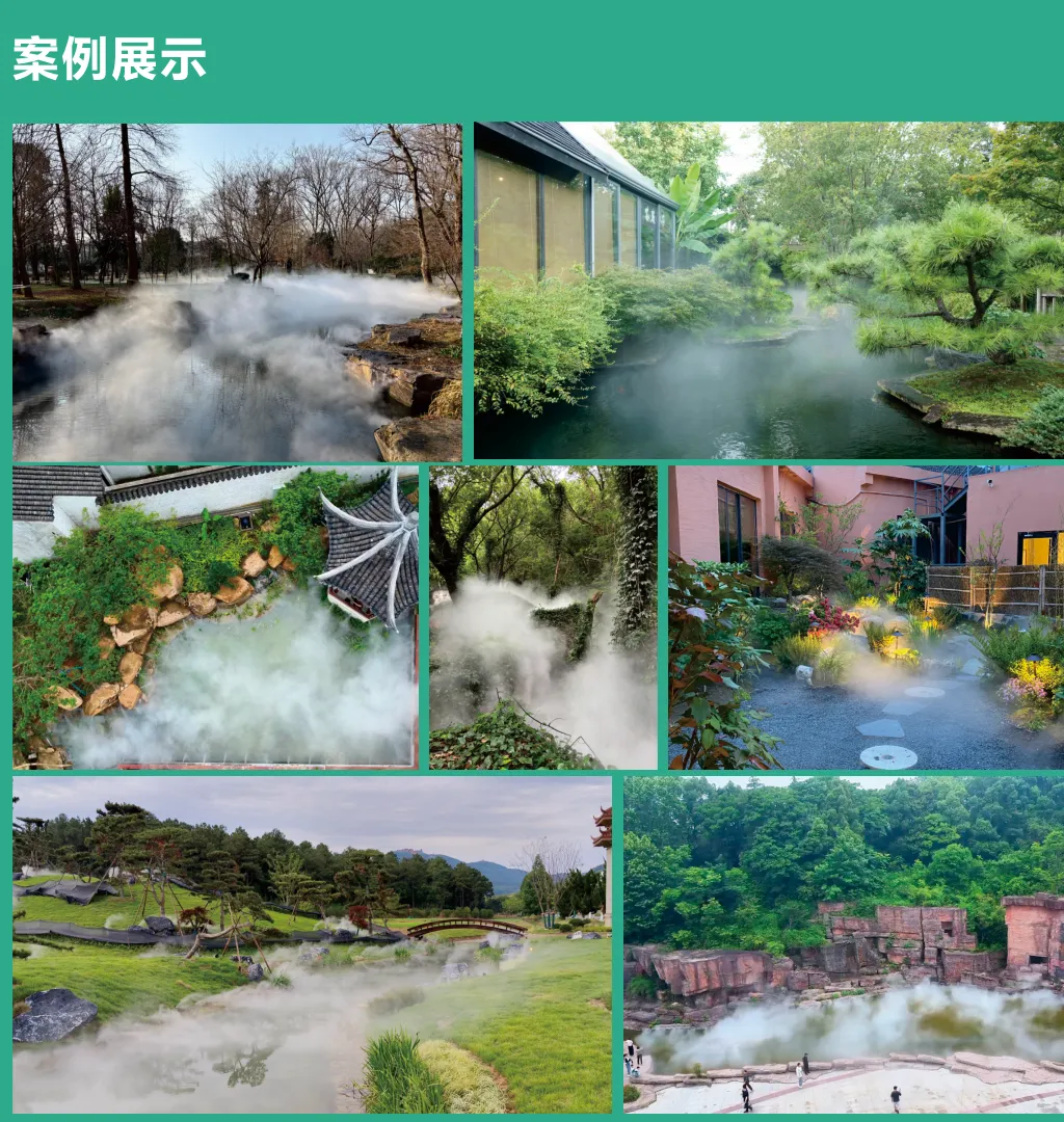 77.webp